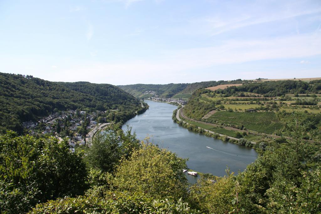 Ferienwohnungen Im Moseltal 로프 외부 사진
