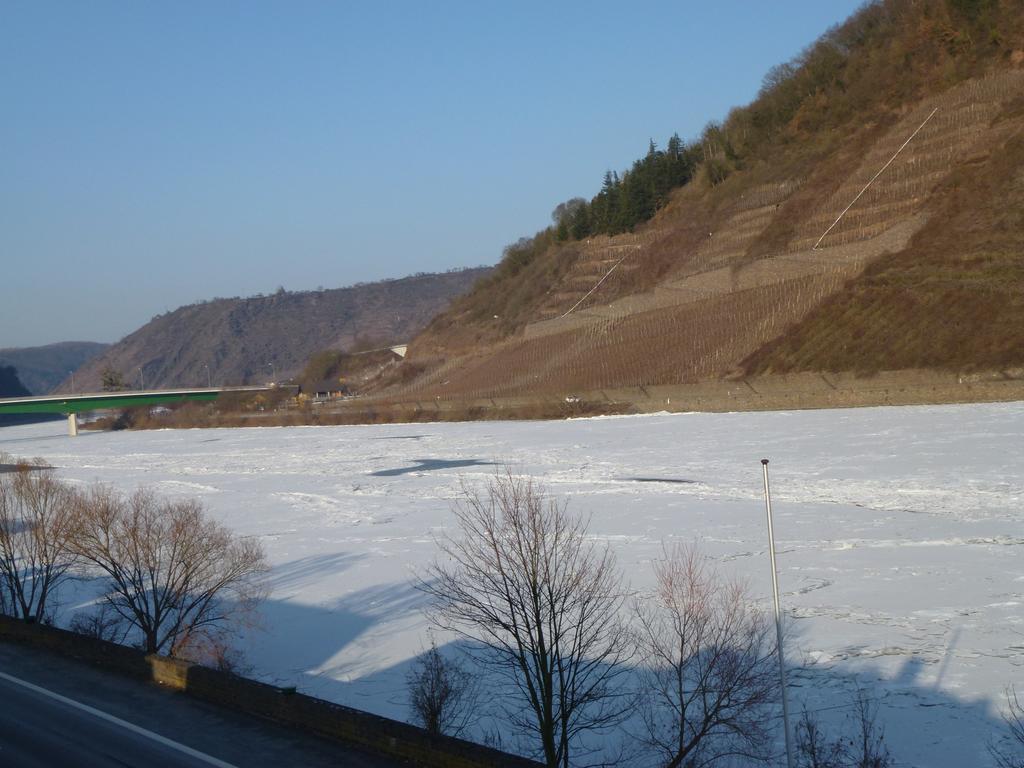 Ferienwohnungen Im Moseltal 로프 외부 사진