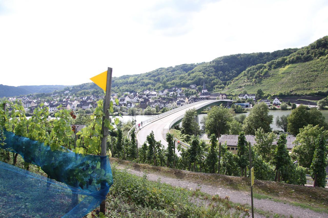 Ferienwohnungen Im Moseltal 로프 외부 사진